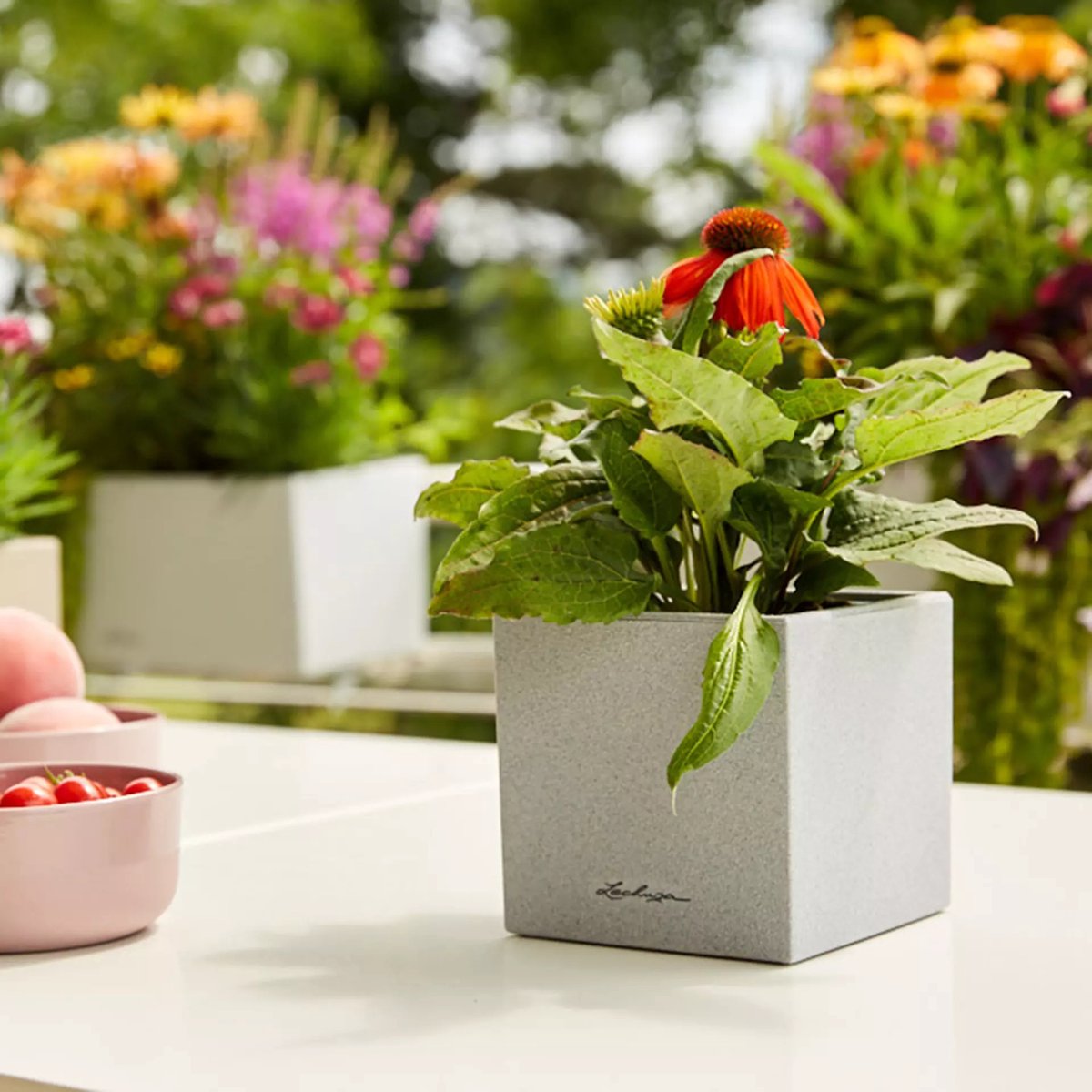 Lechuza Canto Stone 14 - Planter - with removable inner pot