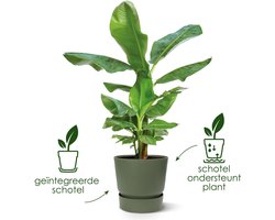 Elho Greenville Rond 14 - Bloempot voor Buiten met Waterreservoir - 100% Gerecycled Plastic - Ø 14 x H 13.4 cm - Goudkleurig zand
