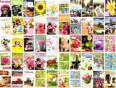 50 cartes de vœux de Luxe - Assortiment - Félicitations / Animaux / fleurs - 11x16cm - carte pliée avec enveloppe