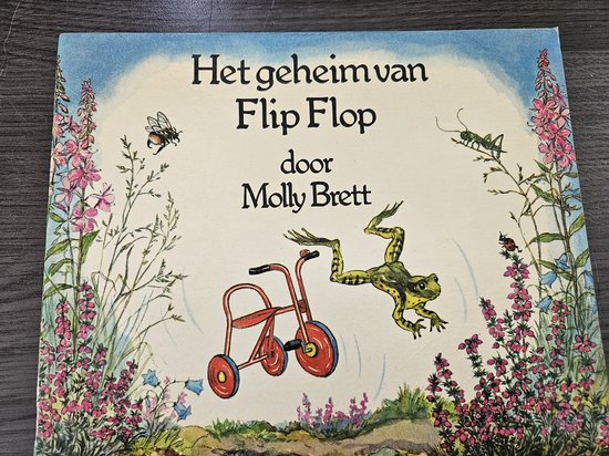 9789003020109 - Geheim van flip flop