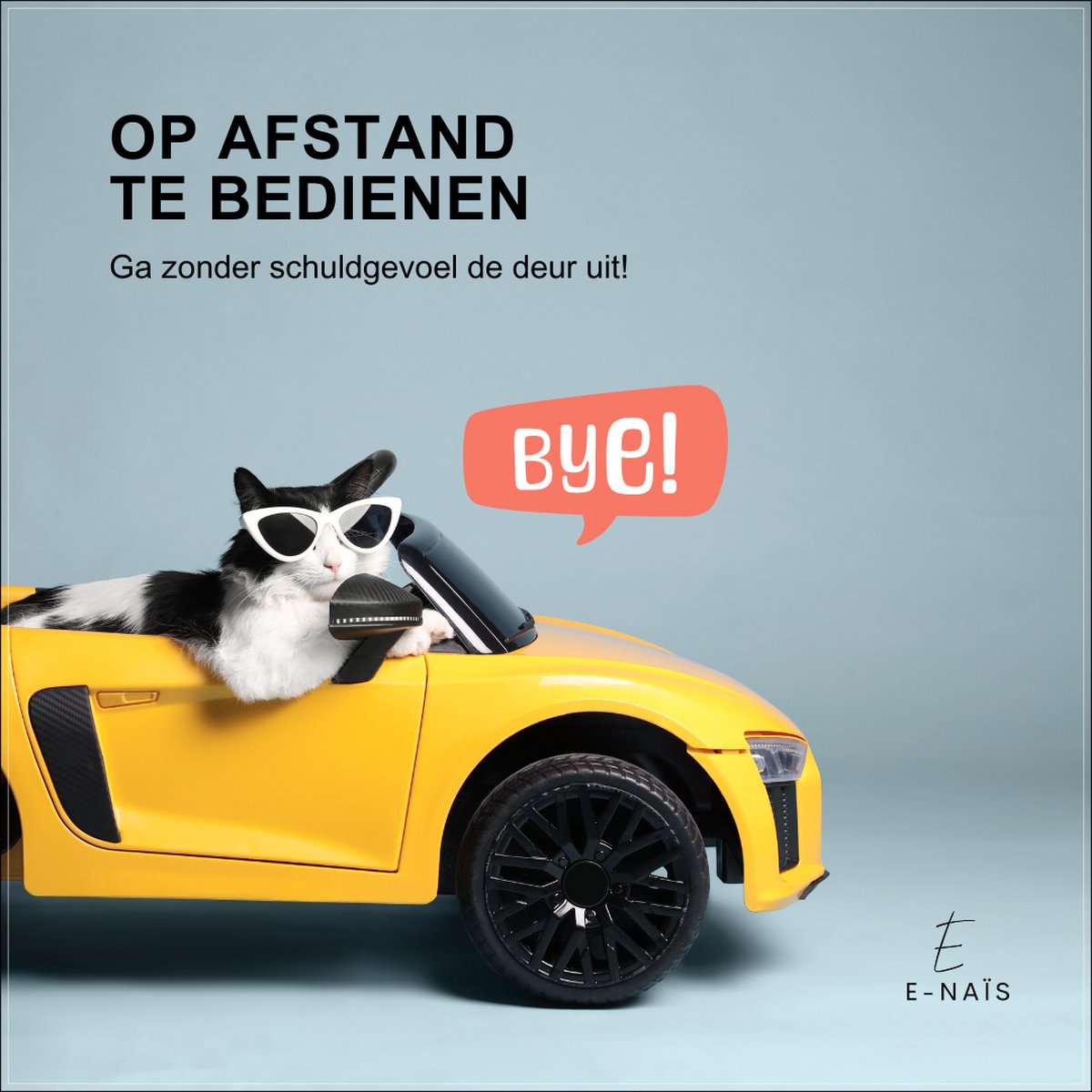 E-Naïs Automatische Voerbak Kat thumbnail 4