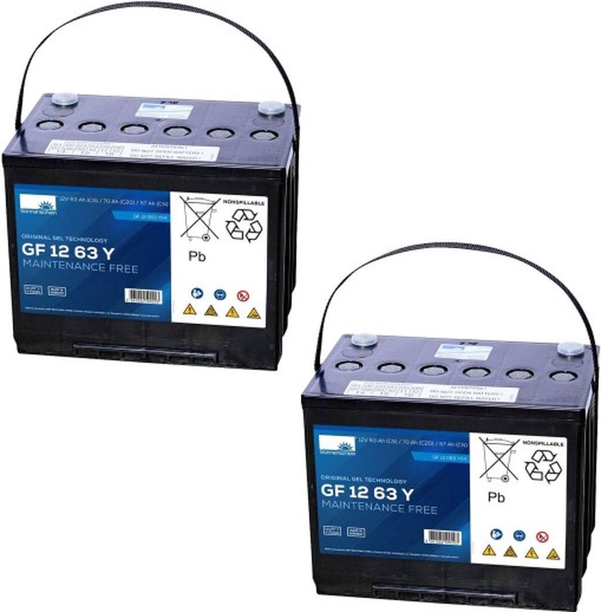 Exide Vervangingsaccu Voor Vermeiren Carpo 4 Scooter 24V 2 X 12V 63Ah