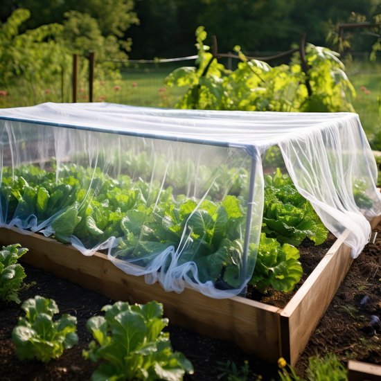 Filet anti-insectes pour jardin 3x3M | Filet de jardin pour la Protection des Vogel et des insectes | Moustiquaire pour Plantes, fruits et légumes | Filets de protection pour fraises, mûres et myrtilles