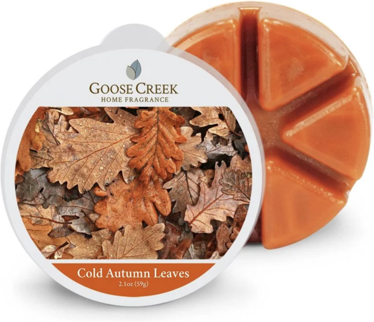 goose creek cold autumn leaves