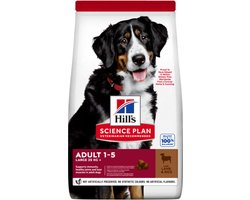 Hill's Science Plan dog adult L lamb&rice 12kg