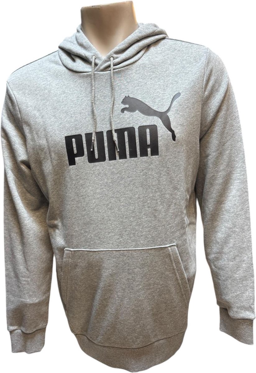 Puma Hoodie Grijs