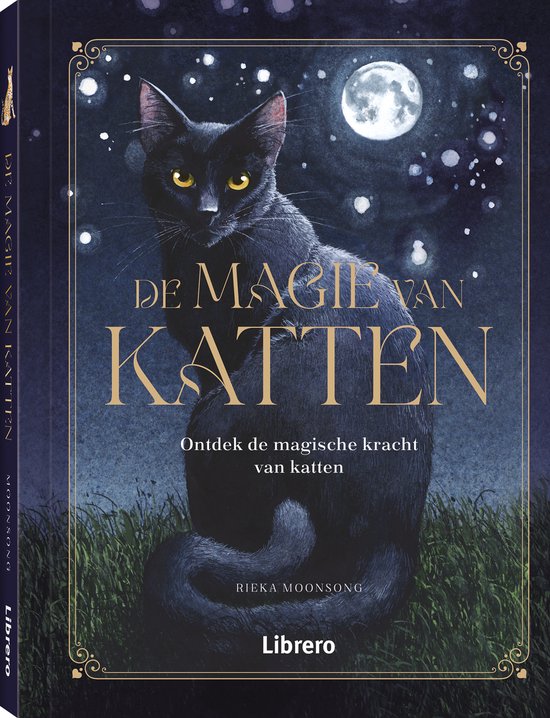 De magie van katten