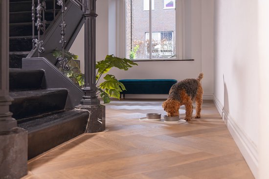 Een hond eet uit grijze voerbakken op een beige placemat bij een trap.