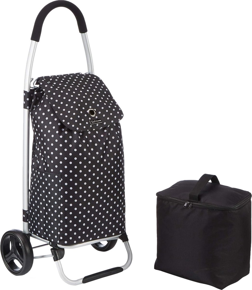 Goodivery ® Ruime Opvouwbare Boodschappenwagen met Verwijderbare Koeltas en Stevige Wielen