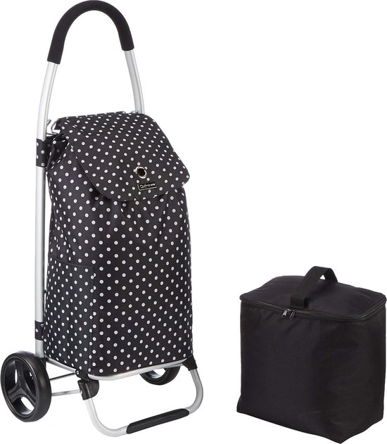 Zware opvouwbare boodschappentrolley met 2 wielen en waterdichte tas