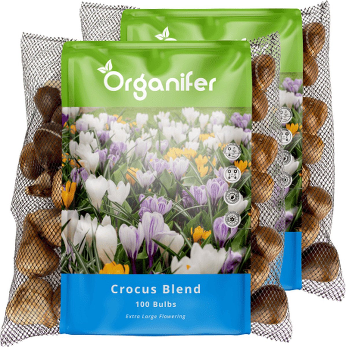 200 Krokussen Bloembollen - Bloembollen Krokus - Krokus - Bloembollen Mix - Biologische Bloembollen - Zomerbollen - (XXL Bloembollen Formaat 8/9 cm) - Organifer