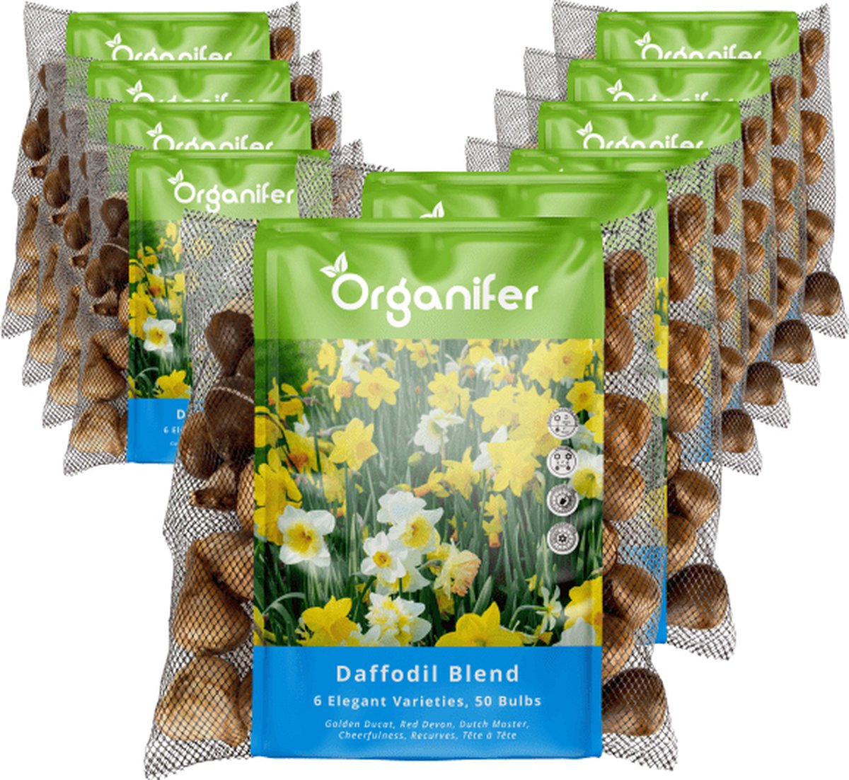 500 Narcissen Bloembollen - 6 Elegante Soorten - Bloembollen Narcis - Narcis Bollen - Biologische Bloembollen Mix - (XXL Bloembollen formaat 12/ 14 cm) - Organifer