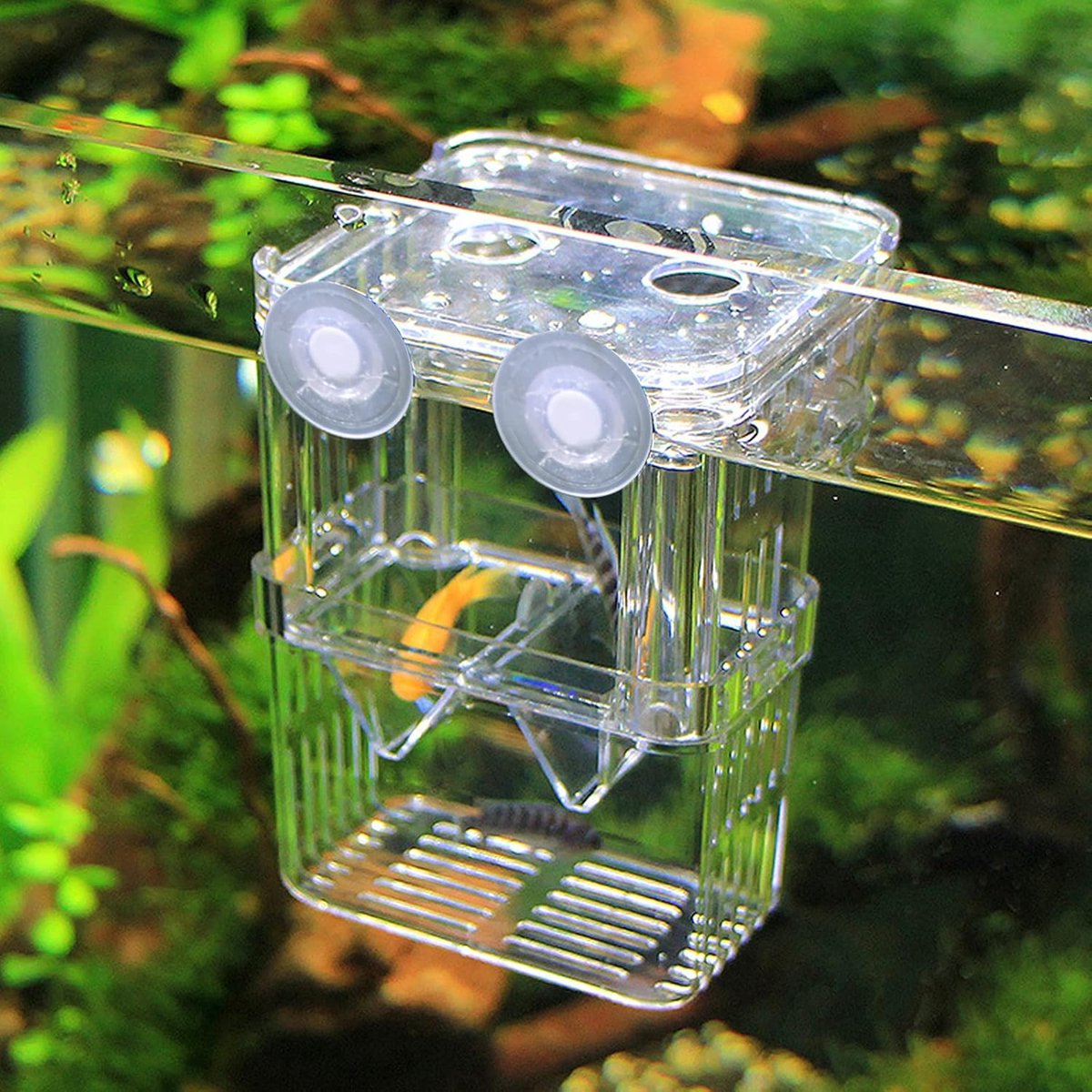 Aquariumbroedmachine