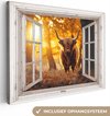 Doorkijk, Schotse hooglander