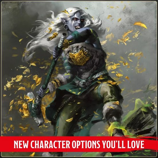 D&D 5.0 2024 Players Handbook