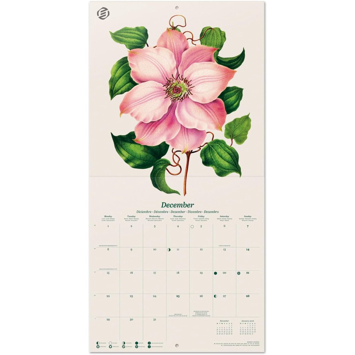 Equivera Jaarkalender 2025 - Maandkalender - Jaar Kalender - Jaarkalender - Jaarplanner - Kalender 2025