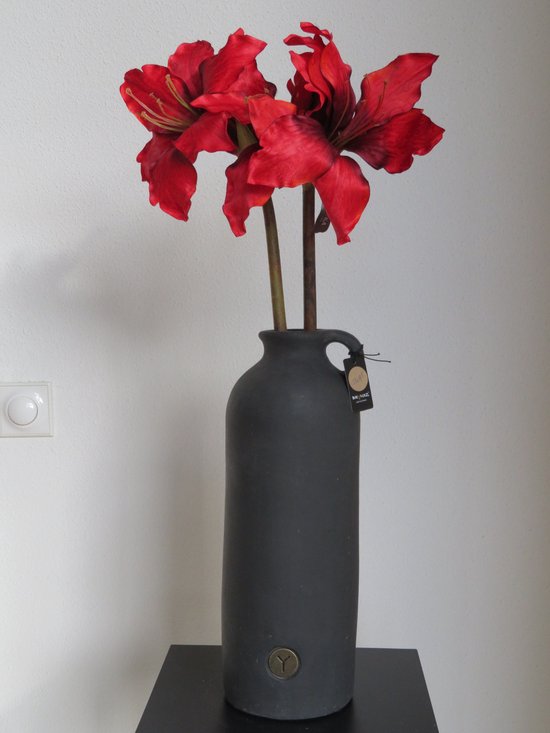 Bouteille BRYNXZ à base d'amaryllis rouge Silkka
