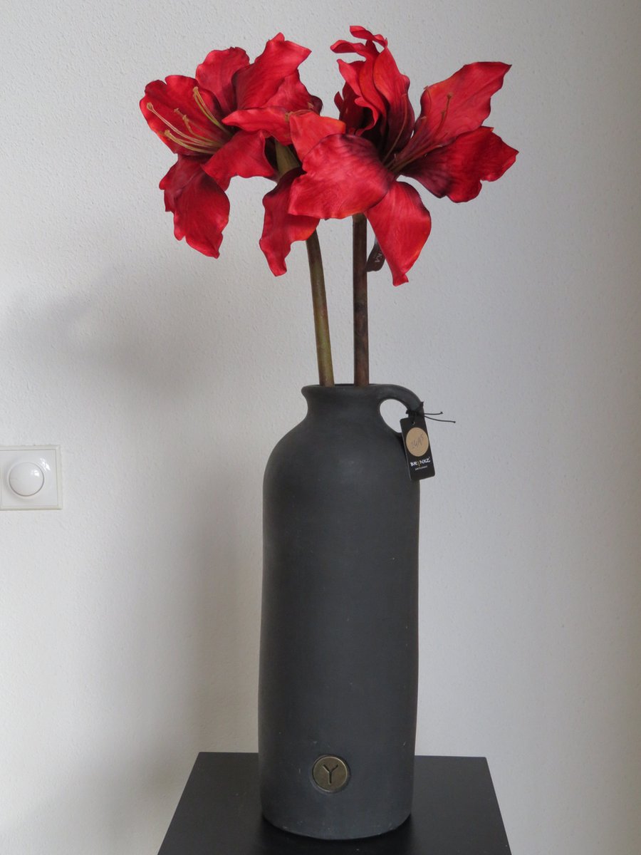 BRYNXZ Fles opgemaakt met Silkka Rode Amaryllis