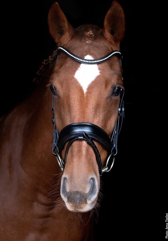 Schockemöhle Stanford Anatomical Hoofdstel Pony Zwart Schockemöhle Stanford Anatomical Hoofdstel Pony Zwart