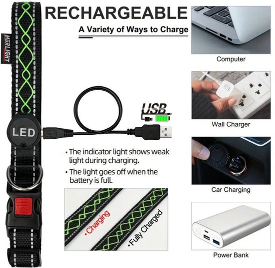 Nivard Collier Lumineux - Collier Lumineux - Lumineux - Chien - Chat - Lumineux - Collier pour Chien LED - Rechargeable - Blauw - L