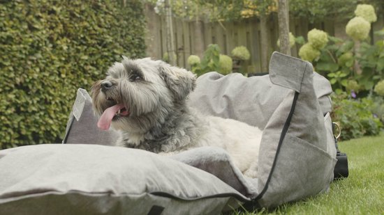 Zeer sterke autostoel voor honden, versterkte autostoel of mand voor kleine en middelgrote honden in de auto, met 4 sluitbanden, autostoel of hondenbed in de auto
