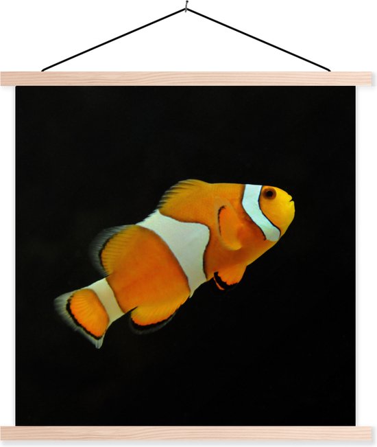 Porte-affiche avec affiche - Affiche scolaire - Poisson - Ligne - Zwart - 90x90 cm - Lattes vierges