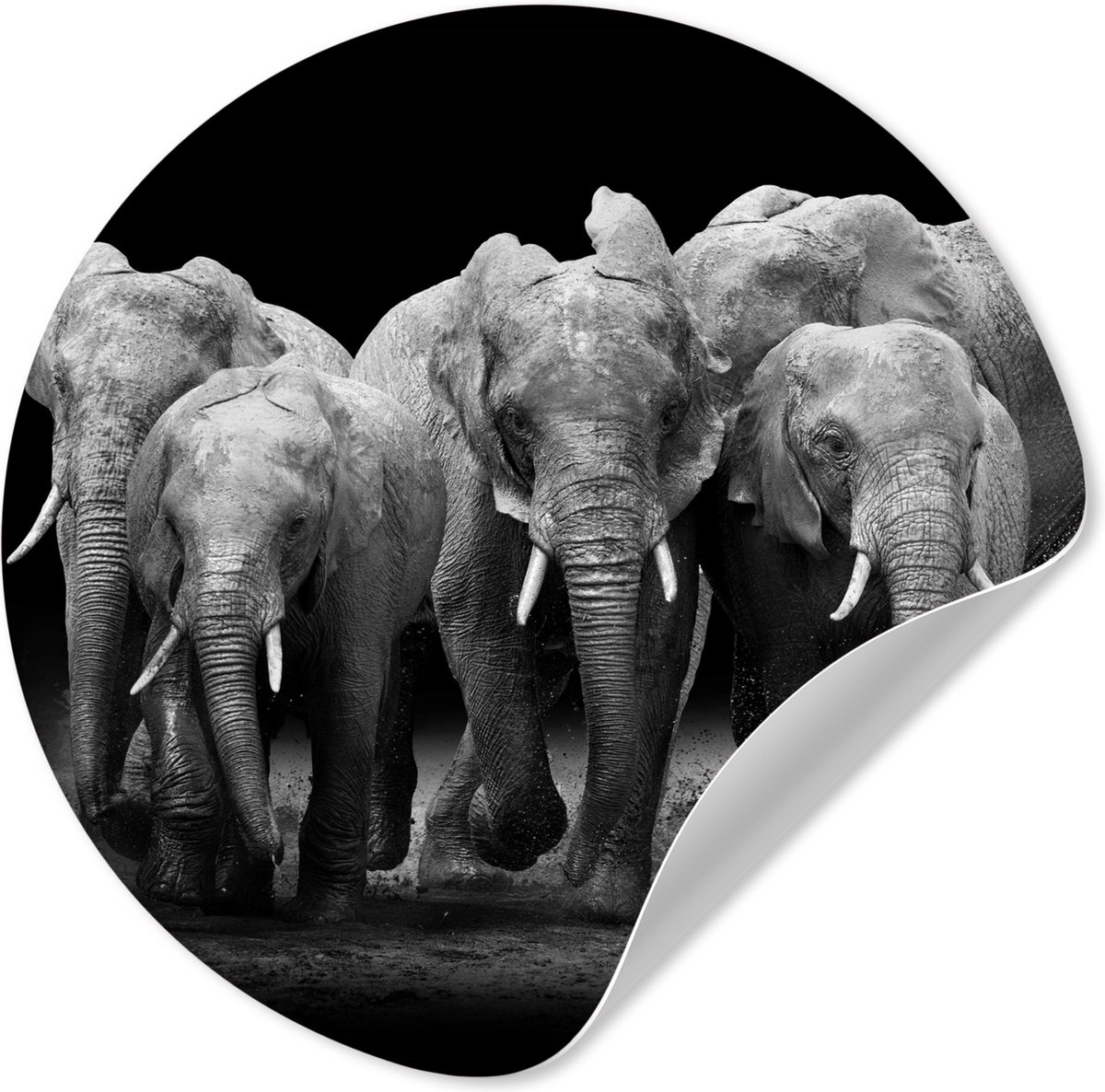 WallCircle® - Behangcirkel 30x30 cm - Muurstickers Inductie beschermer - Olifant - Zwart w