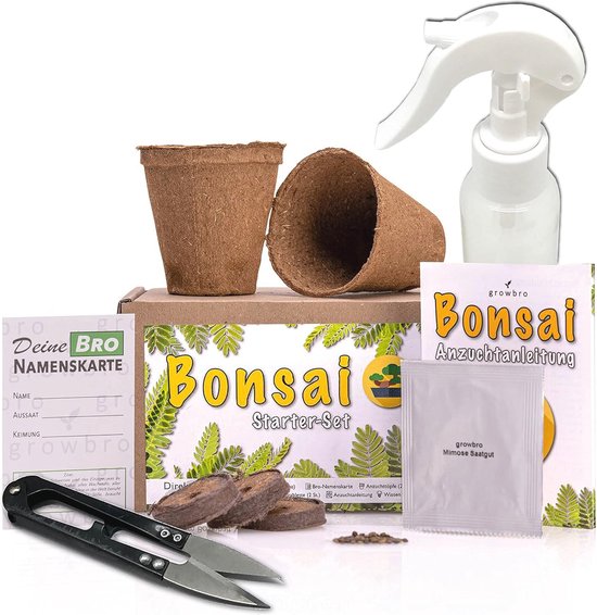 5 populaire bonsaiboompje soorten + extra info over gereedschap en starter kits 20 Wisteria Bonsai Kweekset - Grow Your Own Bonsai - Complete Starter Kit met Zaden, Sprayfles en Meer