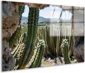 doorkijk glasschilderijen - Cactussen schilderijen - Schilderijen glas Plant - Muurdecoratie industrieel - Schilderijen plexiglas - Slaapkamer wanddecoratie acrylglas 75x50 cm