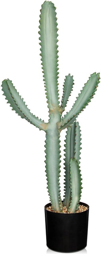 Solenzo - Real horseshoe for indoor and outdoor decoration - lucky charm : Solenzo