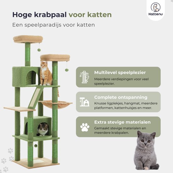 Globlazer kattenboom Cactus Groene hoog 178 cm met Hangmat, 2 Grote Kattenhuis, Platform Gevoerde, Mand Oprit Sisal, Stabiele Hoek Krabpaal voor 3-5 grote kattens Rust Spelen Binnen (F70 Pro, Groen Globlazer kattenboom Cactus Groene hoog 178 cm met Hangmat, 2 Grote Kattenhuis, Platform Gevoerde, Mand Oprit Sisal, Stabiele Hoek Krabpaal voor 3-5 grote kattens Rust Spelen Binnen (F70 Pro, Groen