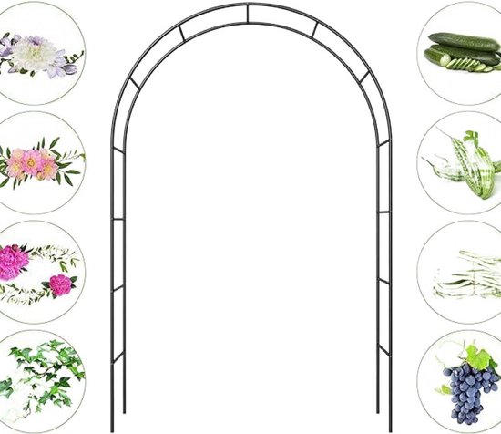 Ceruzo Arche à Rosiers 140 x 240 cm - Aide à Grimper en métal pour Rosiers et Plantes grimpantes - Cadre revêtu par pulvérisation