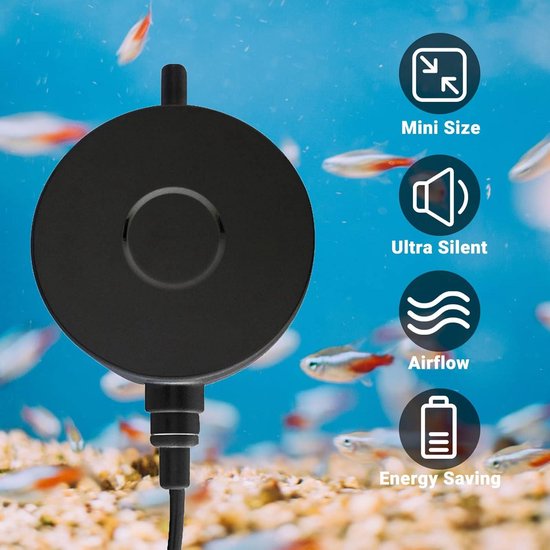 Biorb : accessoires et décorations aquarium