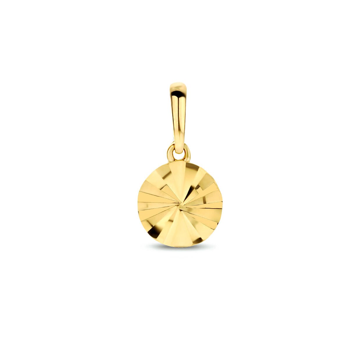 14K geelgoud hanger rondje gediamanteerd 4028289