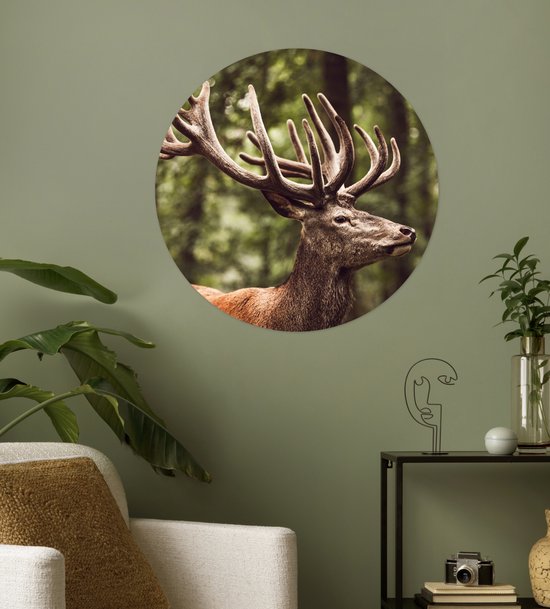 WallCircle® - Cercle de papier peint 80x80 cm - Stickers muraux Cerf - Nature - Bois - Forêt - Animaux - Cercle mural salon - Cercle mural chambre - Décoration murale autocollante - Accessoires de Décoration murale
