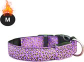 Livano Collier Lumineux - Collier Lumineux - Lumineux - Chien - Chat - Lumineux - Collier pour Chien LED - Rechargeable - Violet - M