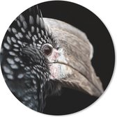 Muismat - Mousepad - Rond - Vogel - Snavel - Veren - 30x30 cm - Ronde muismat
