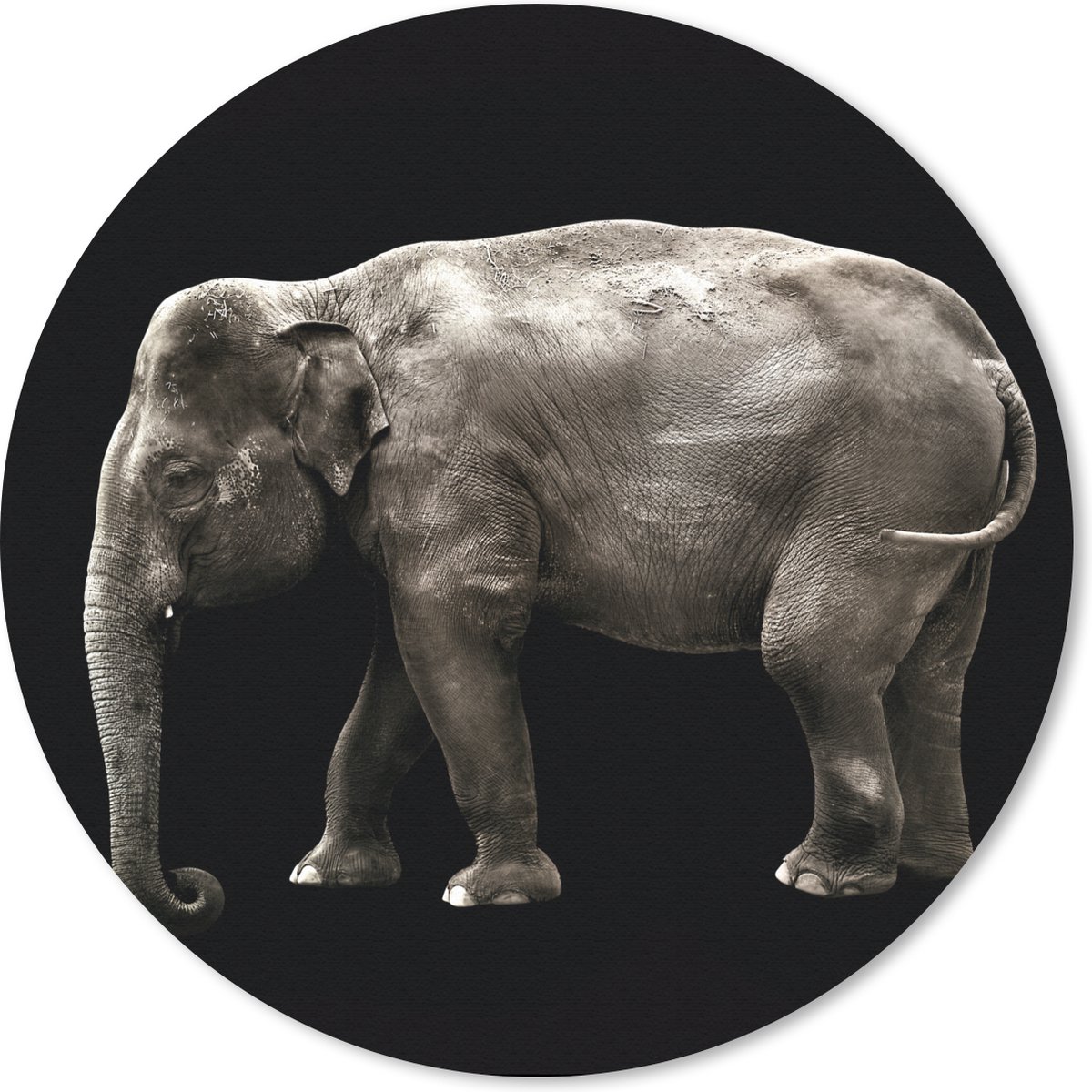 Muismat rond 50x50 cm - Mousepad Olifant - Wilde dieren - Zwart - Ronde muismatten