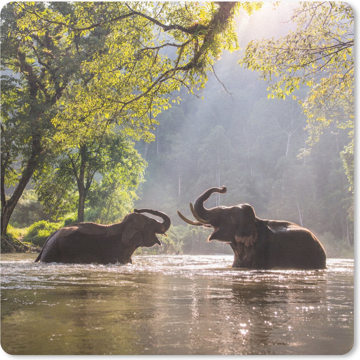 Muismat 20x20 cm - Mousepad Olifant - Water - Dieren - Bomen - Zon - Muismatten