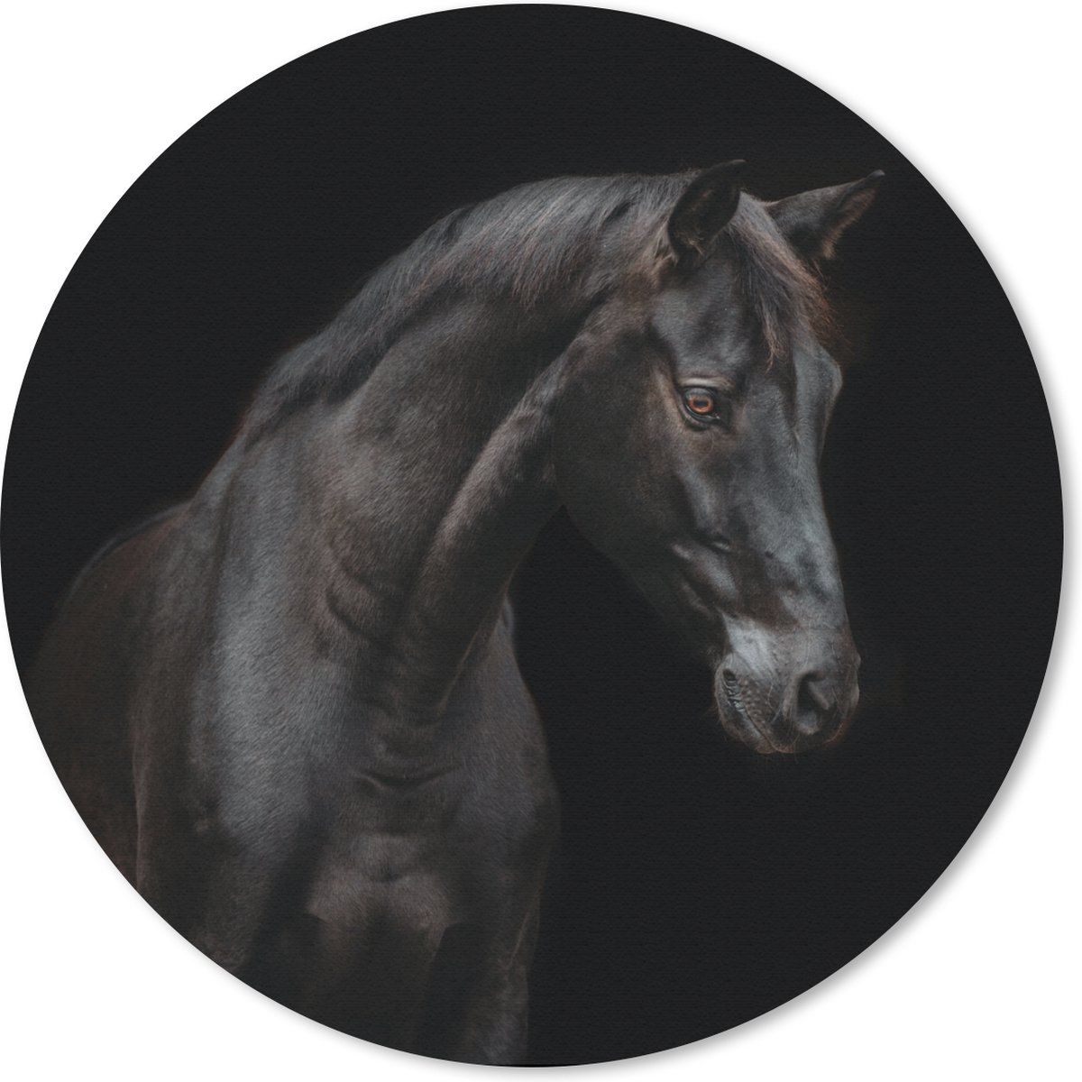 Muismat rond 20x20 cm - Mousepad Paard - Dier - Zwart - Ronde muismatten