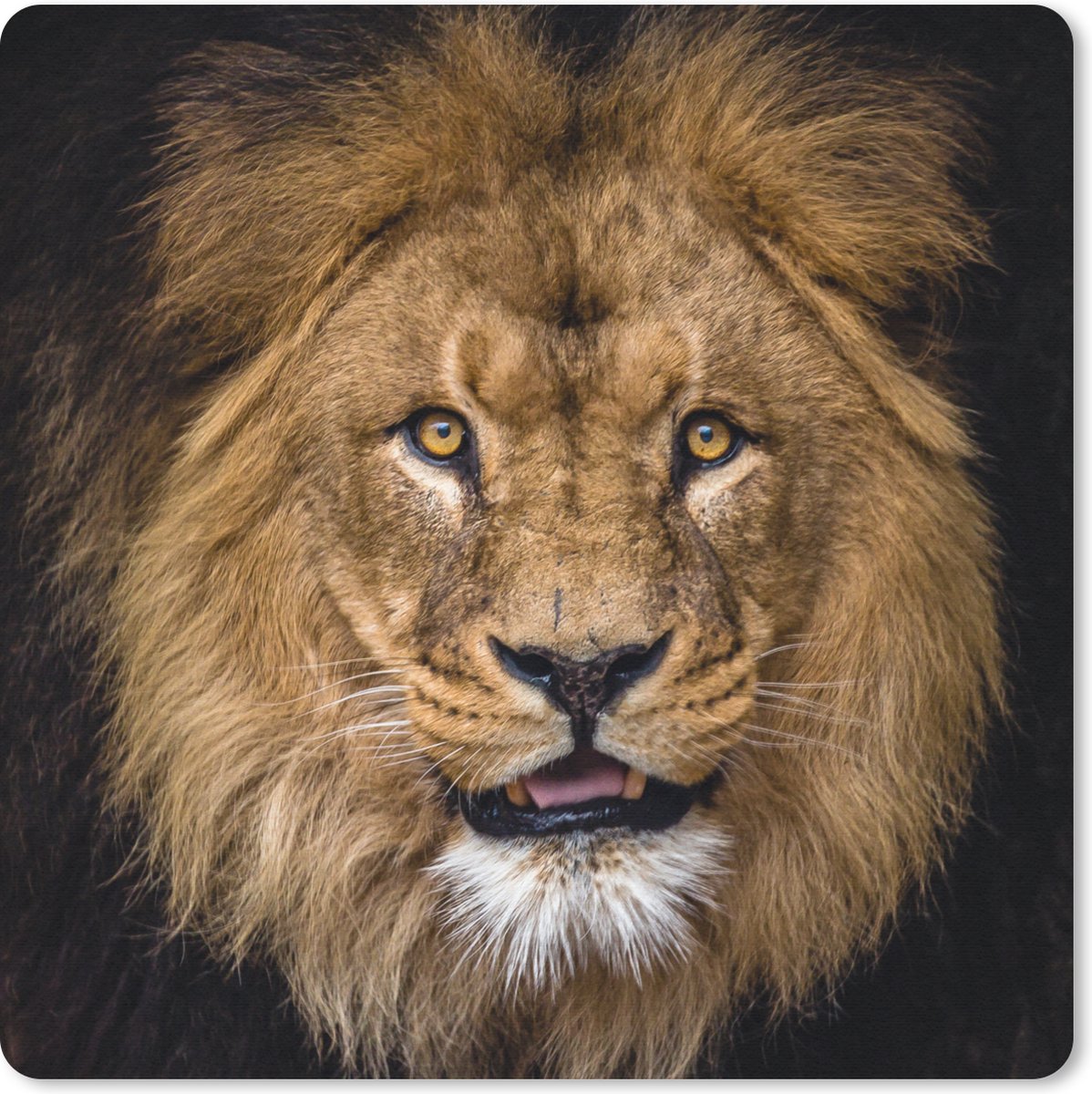 Muismat 30x30 cm - Mousepad Leeuw - Portret - Zwart - Dieren - Muismatten