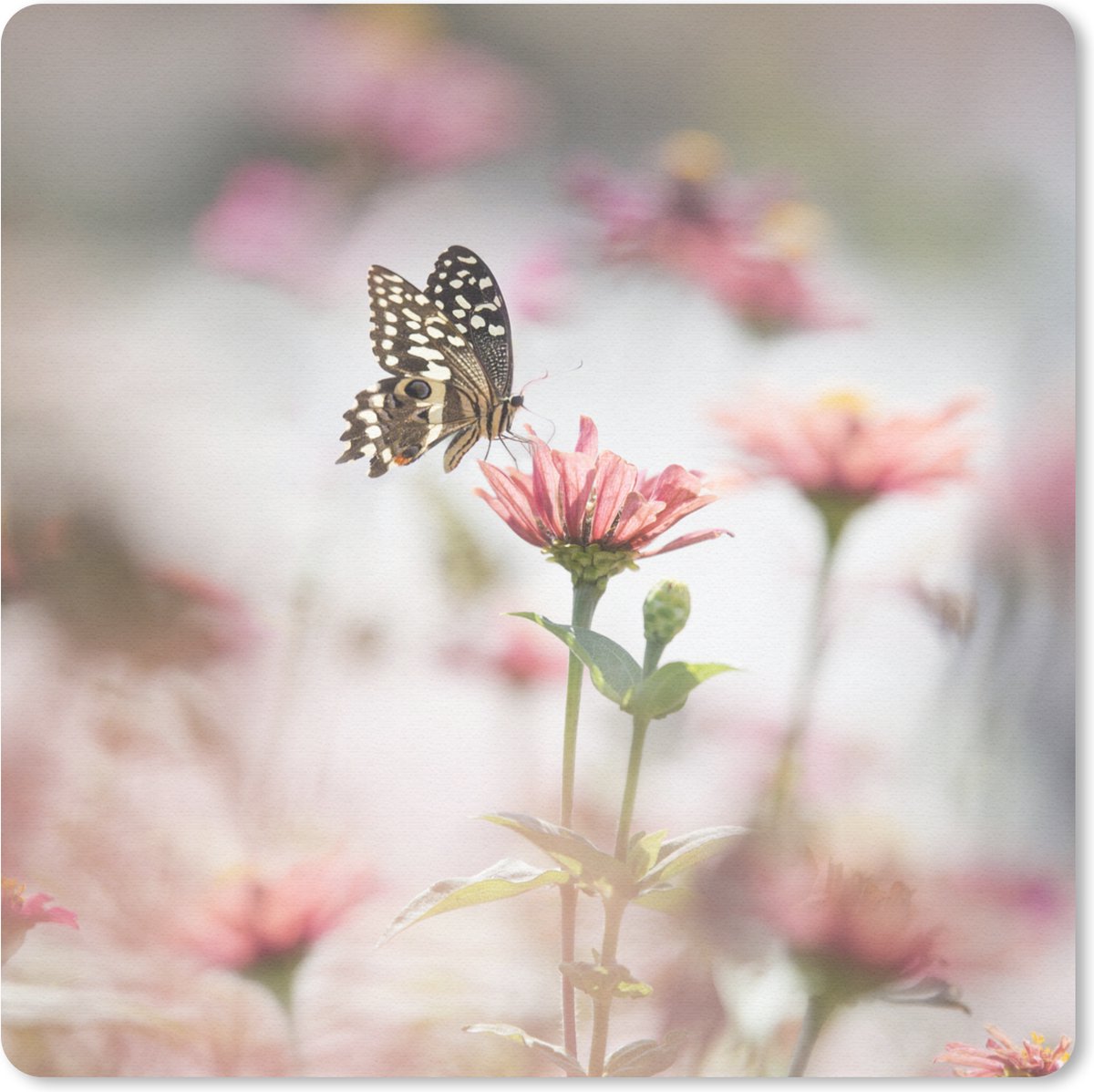 Muismat 30x30 cm - Mousepad Vlinder - Bloem - Roze - Muismatten