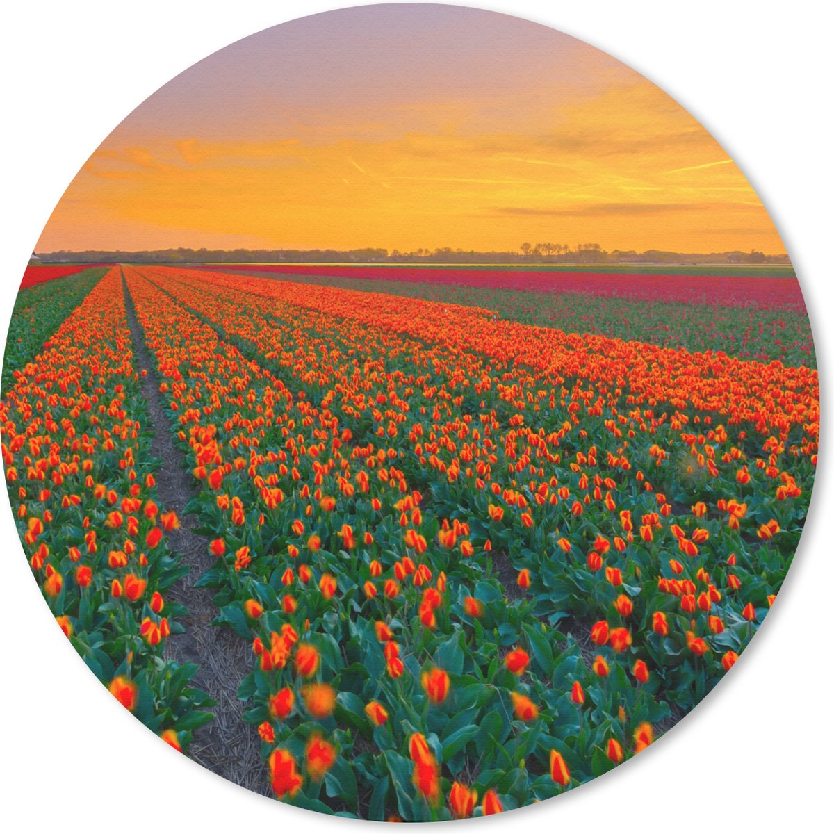 Muismat rond 20x20 cm - Mousepad Tulpenvelden in Zuid-Holland - Ronde muismatten