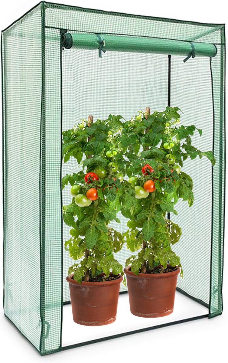 YUGN Tomatenkas 100 CM - Tomatenserre - Foliekas - Tomaten kweekkas - Cadeautip