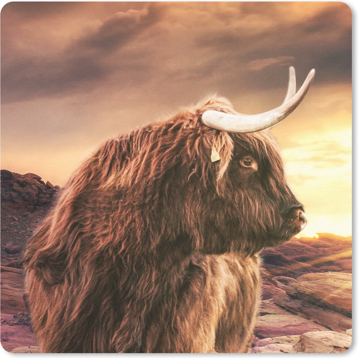 Muismat 30x30 cm - Mousepad Schotse hooglander - Zon - Horizon - Koe - Dieren - Muismatten