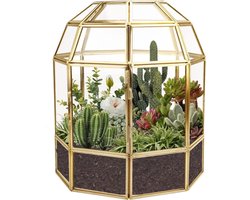 Grote geometrische terrarium plantenbak huisvorm - handgemaakt zwart glas - vintage tafelblad - miniatuur bloempot - 18cm - vetplanten cactussen luchtplanten - gouden vogelkooi vorm