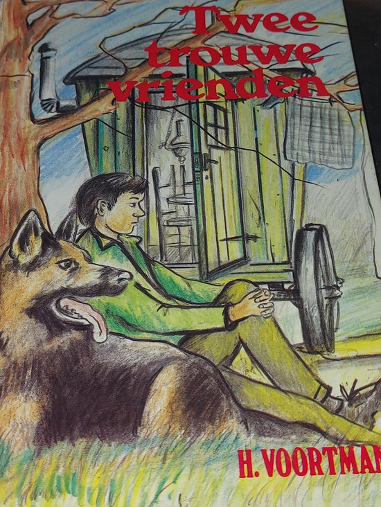 TWEE TROUWE VRIENDEN, Voortman 9789055510375 Boeken bol