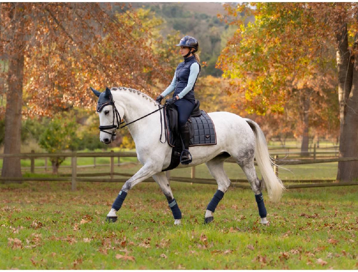 Tapis de Selle Suède Dressage Lemieux