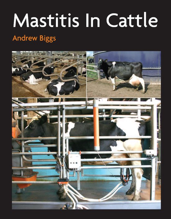 Mastitis In Cattle - cover