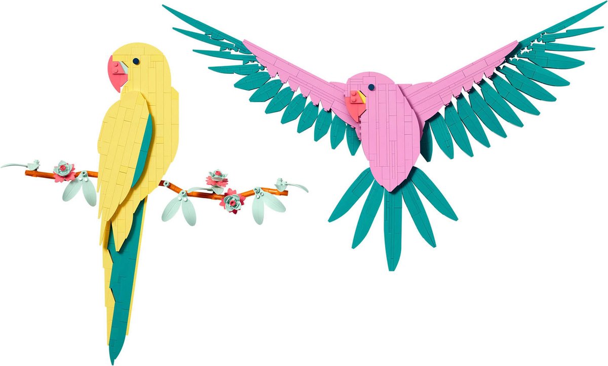 LEGO Art De Faunacollectie Kleurrijke papegaaien - 31211 — afbeelding 10